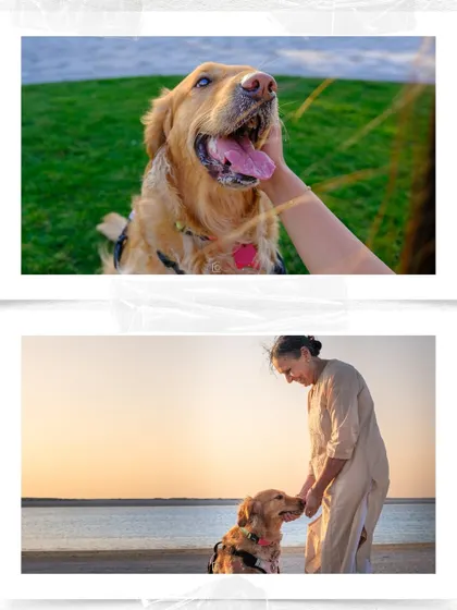 A collage showcasing the bond between three generations of a family and their beloved golden retriever, Zoey.
