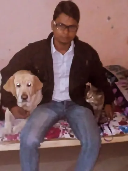 It's not just dogs! I have experience looking after cats too. Here I am with a Labrador puppy and a feline friend, both comfortable and safe in my home.