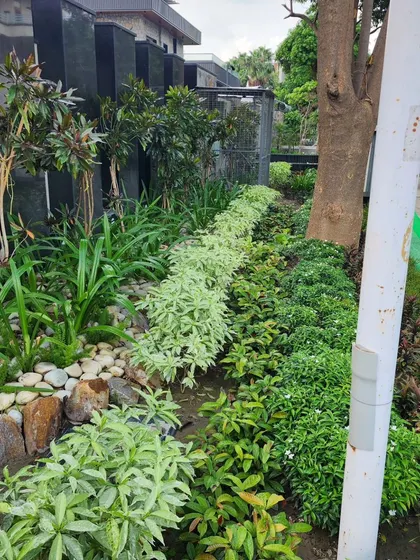 This roadside garden we designed and planted adds curb appeal and a touch of nature to the entire street.