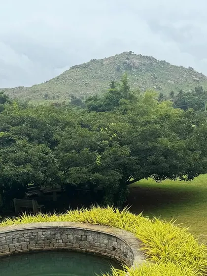 Even on a cloudy day, the view of the hill from our gardens is deeply calming. The soft light and cool air create a cozy, introspective atmosphere perfect for a de-stress retreat.