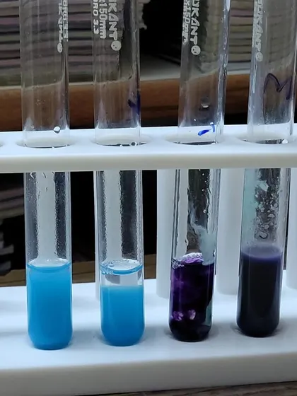 A clear view of the chemical changes happening inside the test tubes during an experiment.