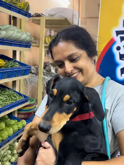 Socialization includes getting puppies comfortable with everyday activities. Here, little Doberman puppy Alpha joins his human for vegetable shopping. This exposes him to new people, sounds, and smells in a controlled way, building a foundation for a stress-free life.