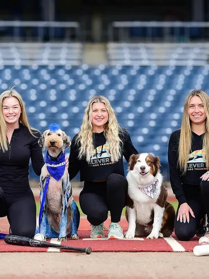 The training team and our amazing bat dogs. We're so proud to be a part of the Tulsa Drillers' game day experience.