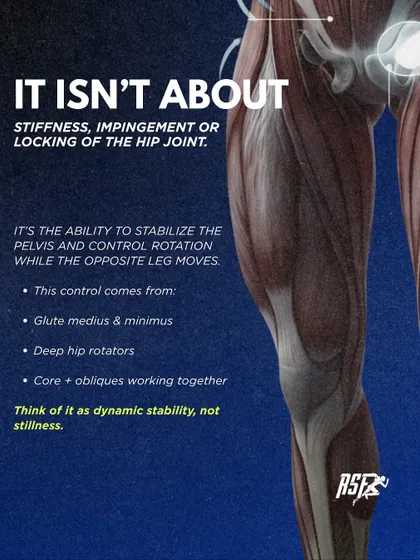 Hip stability isn't about stiffness; it's the ability to stabilize the pelvis while the opposite leg moves. This dynamic control comes from the glutes and core working together.
