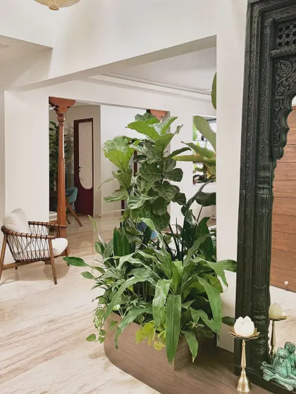 Even in an apartment, a touch of green can transform a space. We used a large, custom planter with a Fiddle-Leaf Fig and other foliage to create a natural focal point and divider.