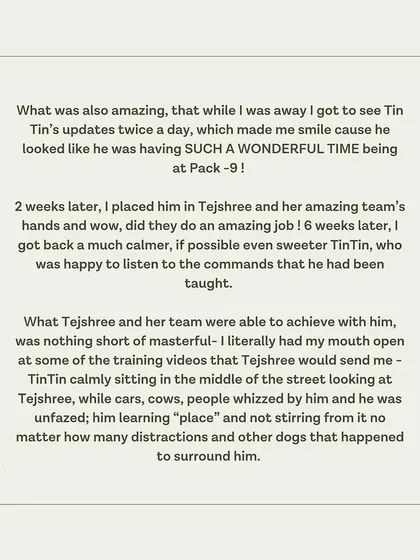 TinTin's guardian shares how he returned home a calmer, sweeter dog who listens to commands.