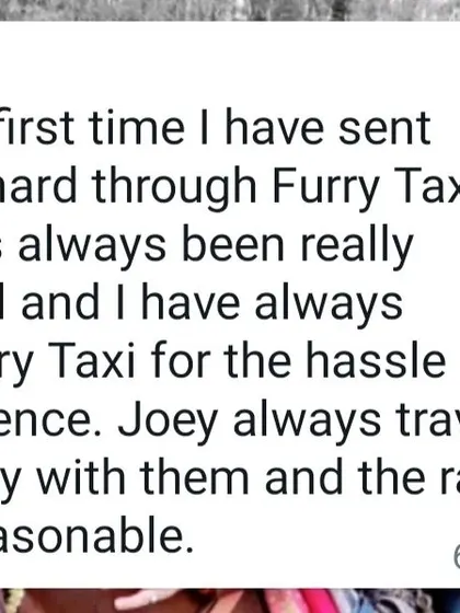 A message from Joey the St. Bernard's parent, who has used my service multiple times for a hassle-free and comfortable experience.