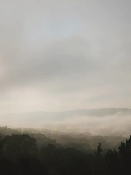 Waking up to a view like this in Chikmagalur is pure magic. My trips are designed to get you away from the city noise and into the heart of nature's beauty, where you can breathe in the fresh mountain air and watch the clouds roll by.