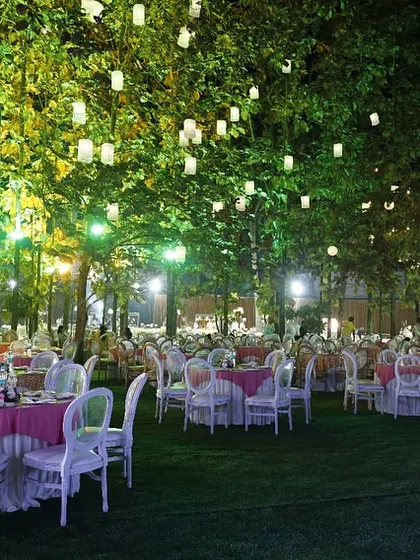 An enchanting outdoor dining setup under a canopy of trees. We hung dozens of lanterns from the branches to create a magical, starry night effect over the entire lawn.