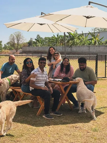 A big group of friends and their Labradors enjoying a sunny day out. Our space is perfect for large get-togethers.