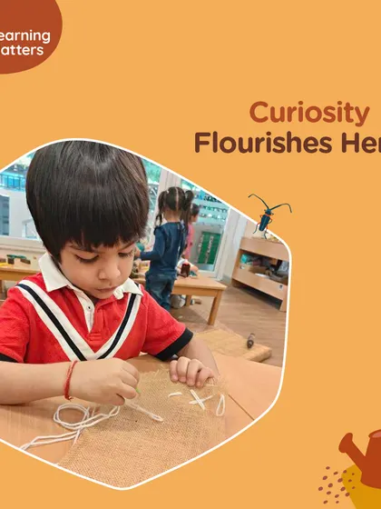 Curiosity flourishes here. We nurture each child's unique path through hands-on exploration and joyful play.
