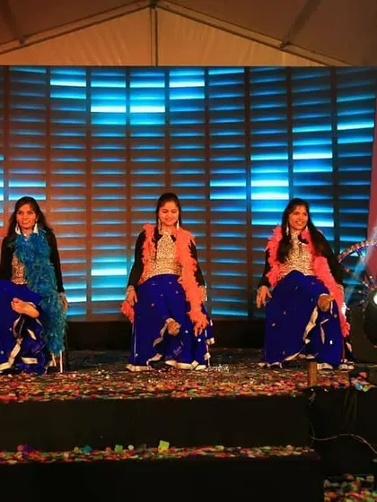 A colorful and vibrant folk dance performance. I incorporate various Indian folk styles into my choreography to add cultural richness to corporate shows.