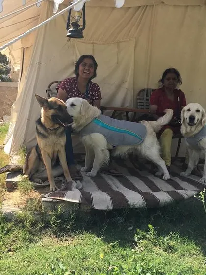 Making friends on the road. During our trip, we camped in Pushkar and the dogs got to socialize with another friendly dog.