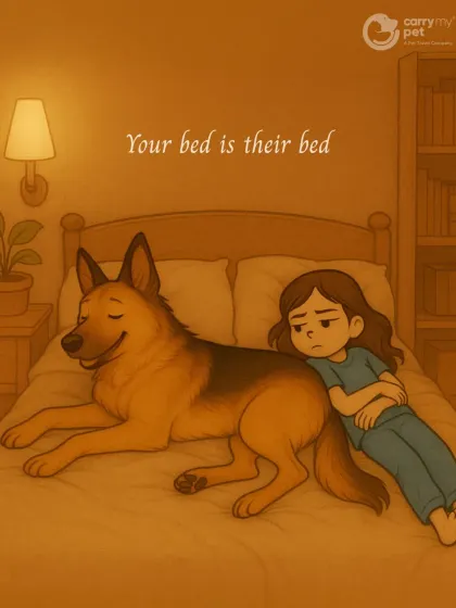 Your bed is their bed. And somehow, they always manage to take up the most space, leaving you with just a tiny sliver.
