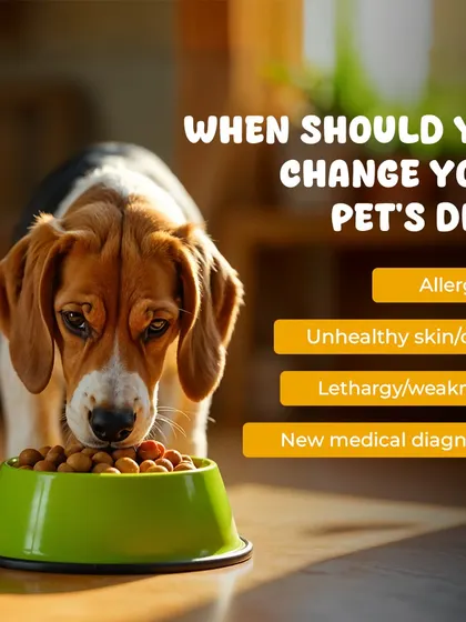 Knowing when to change your pet's diet is key to their health. Signs like allergies, an unhealthy coat, or sudden lethargy might mean it's time for a nutritional adjustment.