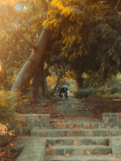 A peaceful scene from Sunder Nursery, with a person on a wheelchair enjoying the autumn colors. This photo is about finding tranquility and beauty in everyday moments.