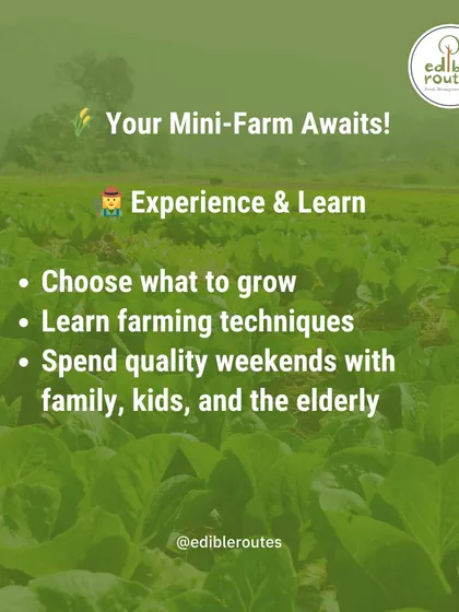 Your mini-farm awaits! Our Farmlets service allows you to experience and learn farming techniques, choose what to grow, and spend quality weekends with your family.