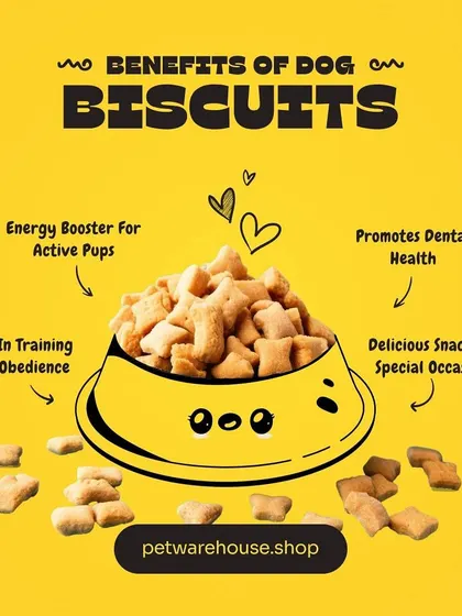 Dog biscuits are more than just a snack. As this graphic shows, they can be an energy booster, an aid in training, and can even help promote your dog's dental health.