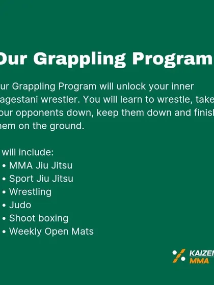 A detailed look at what our comprehensive grappling program includes. We teach you to take opponents down, keep them down, and finish the fight.