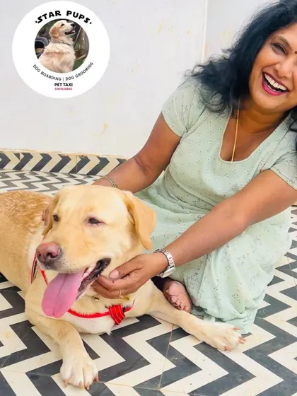 Nothing makes me happier than a happy dog. This smiling Labrador is getting some love and pets in our play area.