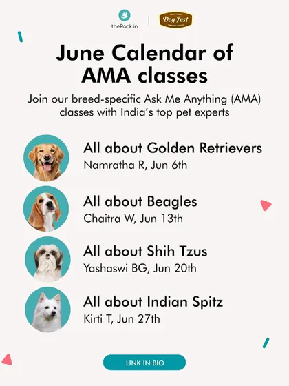 Announcing our free AMA calendar for June. This month, we covered Golden Retrievers, Beagles, Shih Tzus, and the Indian Spitz with our expert trainers.