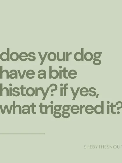 Please be upfront about any bite history. Understanding the context and triggers is not a deal-breaker; it's a critical safety measure for both me and your dog.