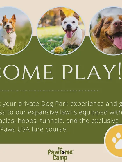 Book a private dog park experience to get exclusive access to our lawns, agility equipment, and the exciting SwiftPaws lure course.