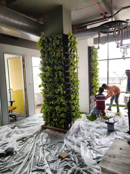 A work-in-progress shot of freestanding living wall pillars being installed in an office. The floor is protected as our team carefully plants the greenery.