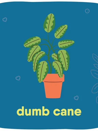 Dumb Cane can cause severe oral irritation, burning, and swelling if your pet chews on it.