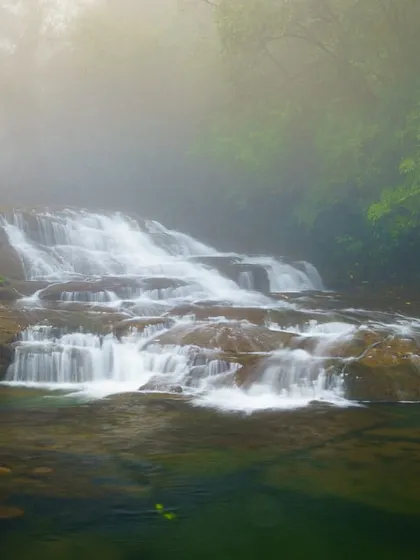 A misty waterfall near a living root bridge in Meghalaya. Using a slow shutter speed, the flowing water is transformed into a milky, ethereal cascade.
