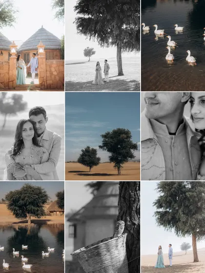 A collection of images from the Khimsar dunes, featuring the couple, the unique landscape, and even some local wildlife like the geese by the oasis.