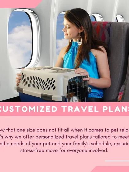 One size does not fit all. We offer customized travel plans tailored to the specific needs of your pet and your family's schedule, ensuring a stress-free move for everyone involved.