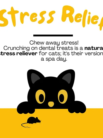 For many cats, the act of crunching on a treat is a natural stress reliever. It's their version of a spa day, giving them a calming activity to focus on.
