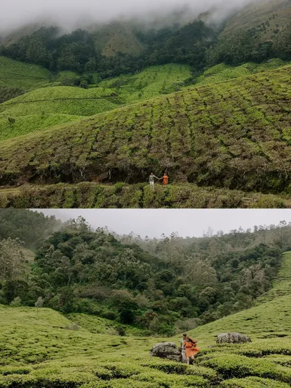 Two perspectives of the Munnar tea gardens. The top frame shows the couple as part of the landscape's pattern, while the bottom frame captures them in a more candid, walking pose within the vast greenery.