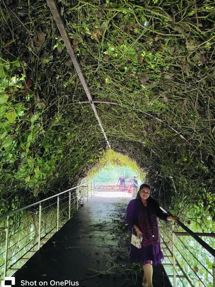 A guest walks through a beautiful green tunnel, a magical and serene part of our property.