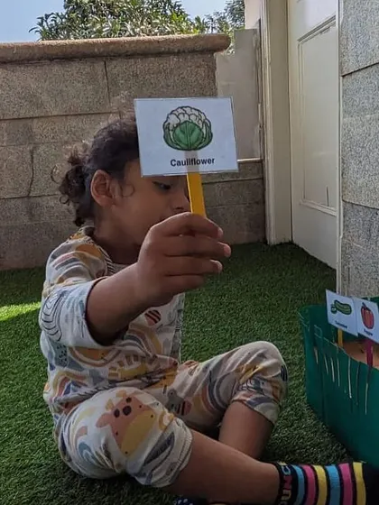 Holding up a card for cauliflower, this child identifies another vegetable for our garden. This activity reinforces learning through repetition and visual aids.