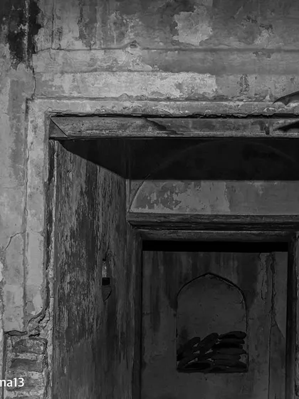 Using flashes and manual focus, we froze the motion of a bat taking a sharp turn inside an old heritage building in Gurgaon.