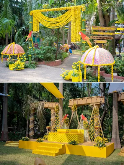The grand entrance and stage decor for a Haldi ceremony, featuring marigold curtains, parrots, and traditional umbrellas.