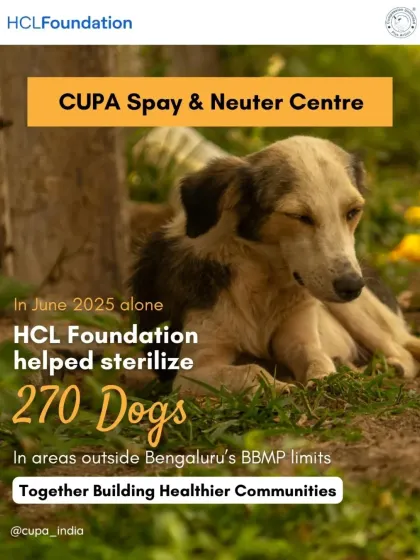 We are grateful for the support of partners like HCL Foundation, who helped us sterilize 270 dogs in June. These collaborations are essential for building healthier communities where both people and animals can thrive.