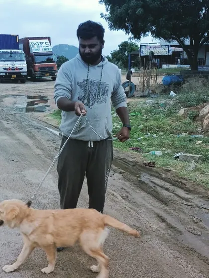 Taking a necessary break during a long drive. I always stop for short walks to let the pets stretch their legs.