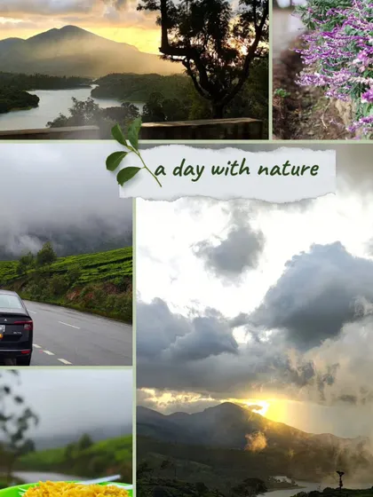 A collage capturing the essence of a day spent with nature in Munnar. From sunrise views and misty roads to vibrant flowers, every moment is an opportunity to connect with the world around us.