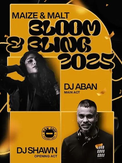 The official event flyer for the NYE 2025 party. As you can see, I often collaborate with other top DJs for major events to provide a diverse and continuous musical experience.