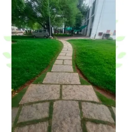 A beautiful stone pathway at the SETS campus. I create durable and attractive landscapes for institutions and commercial clients.