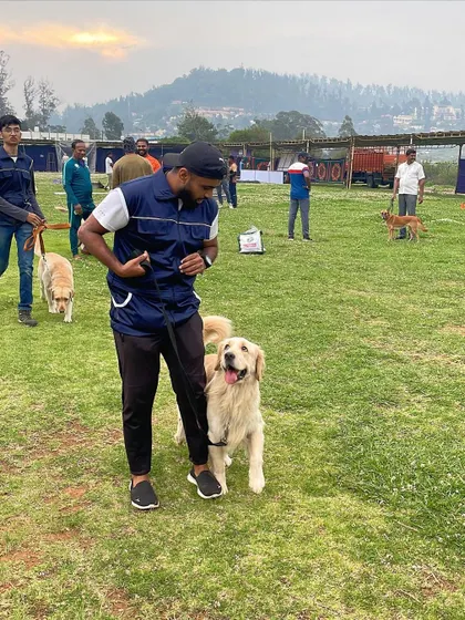 A trainer and his Golden Retriever in action at the Ooty trials.