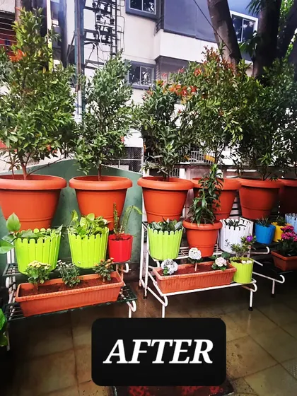 The "After" shot of a vibrant balcony makeover. We used a mix of colorful planters and plant stands to create a multi-level garden full of life and texture.