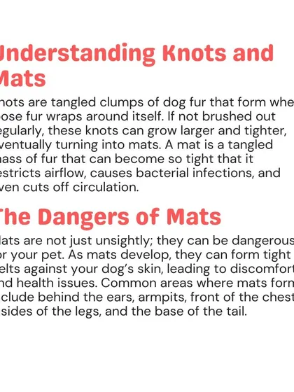 Knots are tangled clumps of fur that can tighten into mats, which are dangerous for your pet. These tight pelts can restrict airflow, cause bacterial infections, and even cut off circulation.