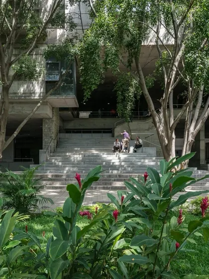 Students gather on the wide steps of the classroom complex, a space designed to be more than just a staircase. It functions as an informal amphitheater and social hub, integrated with the surrounding landscape.
