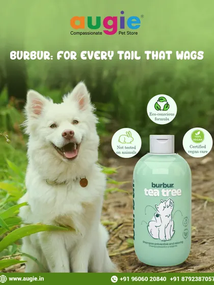For a natural, soothing bath, I recommend BURBUR Tea Tree Shampoo. It's vegan, cruelty-free, and made with tea tree and green tea to gently cleanse and protect against parasites.