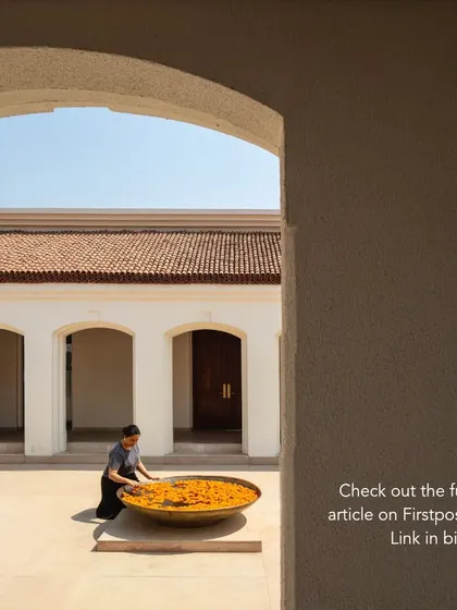 A view from a shaded archway into the main courtyard. This framing is a deliberate design choice to create gentle transitions and moments of discovery.