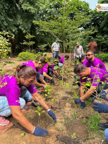 Teamwork in action with Telus Corporate. Planting together builds camaraderie and provides a shared sense of accomplishment that teams take back to the workplace.